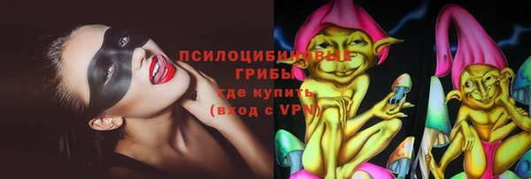 трава Арсеньев