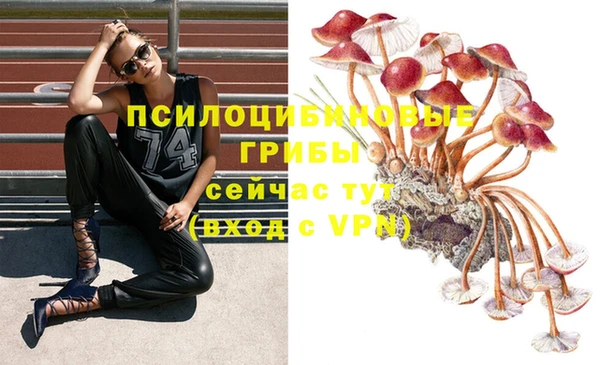 трава Арсеньев