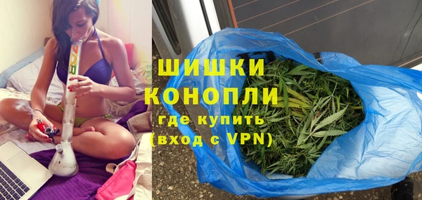 трава Арсеньев