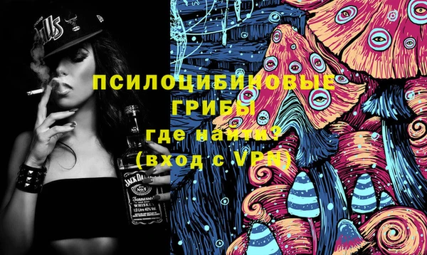 спиды Аркадак