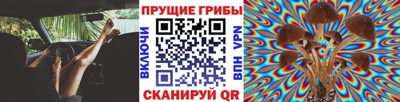 Псилоцибиновые грибы мухоморы  купить  сайты  Мценск 